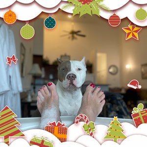 Meet your Posher, Sherrie